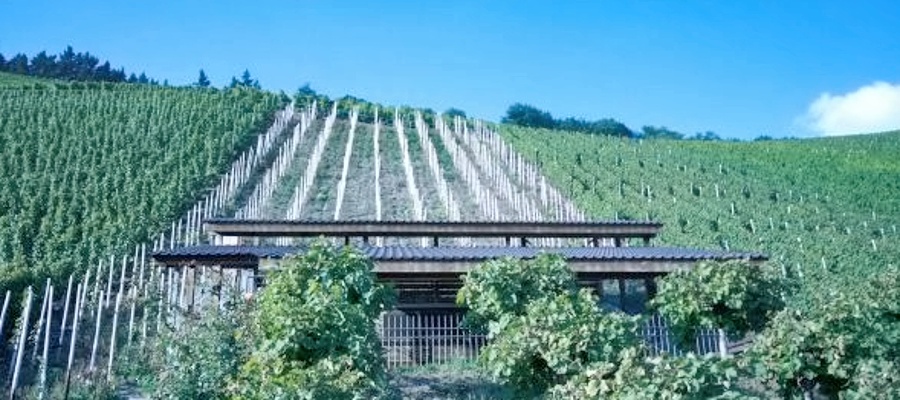 brauneberg-roemische-kelteranlage