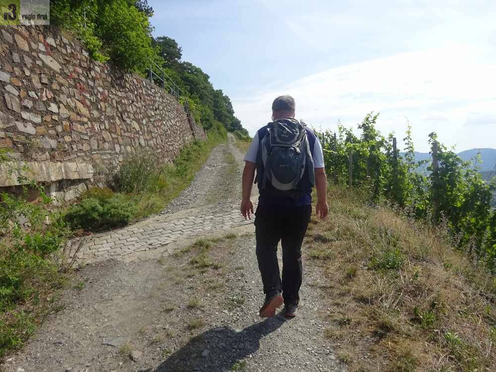 Wandern auf dem Moselsteig: Von Osann-Monzel nach Bernkastel-Kues