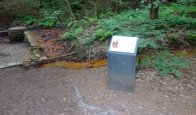 Am Longuicher Sauerbrunnen weist eine Infotafel auf den Ursprung des stark eisenhaltigen und kohlensauren Mineralwassers hin.