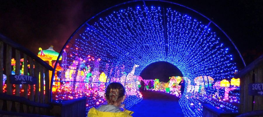 Magische Lichterwelt im Zoo Amnéville. Das Lichterfestival „Luminescences“ findet immer mittwochs, freitags, samstags, sonntags und an Feiertagen statt. Foto: regiodrei/hb
