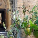 Serrig, Kirche St. Martin