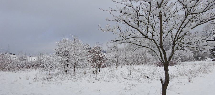 Symbolbild/Foto: Regio Drei