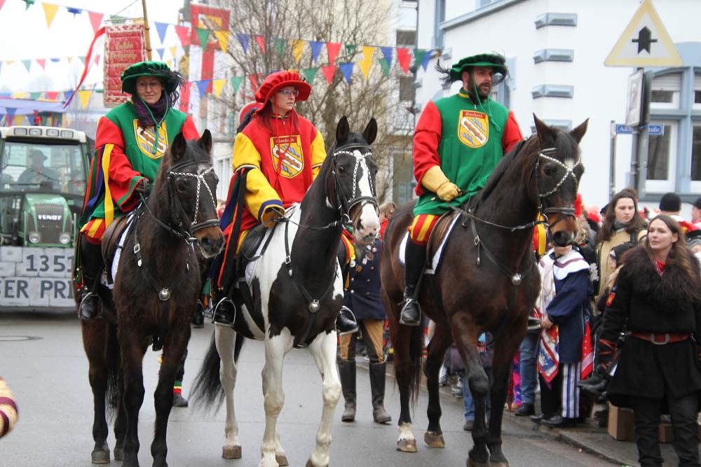 Narrentreffen in Stockach 2026 - Festumzug