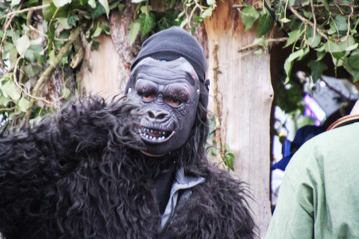 Fastnachtsumzug in Wincheringen 2026