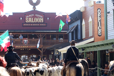 Die Main Street dient nicht nur als Kulisse, sondern als lebendige Bühne: Reiter, Kutschen, Line Dance Gruppen und verschiedene Showacts bewegen sich regelmäßig durch die Straße, während Cowboys und Cowgirls ihre Rinder an den Besucherinnen und Besuchern vorbeitreiben. Foto: hb