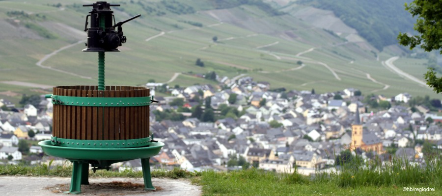 Blick nach Trittenheim an der Mittelmosel. Foto: regio drei/hb