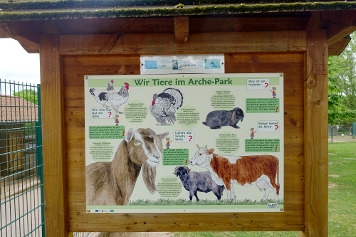 Im Merziger Tier- und Arche-Park kann man einheimische, bedrohte Nutztierrassen, Alpakas und eine Vogelvoliere besuchen. Foto: regio drei