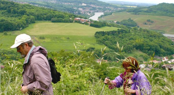 Wandern auf dem Panoramaweg in Perl an der Mosel.