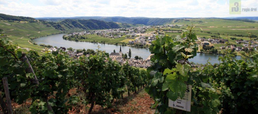 Blick auf die Mittelmosel. Foto: r3/hb