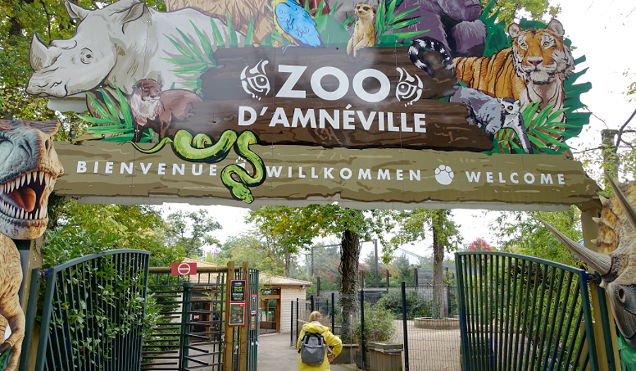 Der Parc Zoologique d’Amnéville im Freizeitgebiet von Amnéville liegt in der Region Grand Est, im Département Moselle. Er wurde am 28. Juni 1986 eröffnet und beheimatet derzeit etwa 2000 Tiere auf einer Fläche von 16 Hektar. PKW-Anreise: Trier ist ca. 95,5 km entfernt, Saaarbrücken ca. 83,5 km, Perl ca. 38,9 km, Saarburg ca. 60,8 km, Koblenz ca. 220 km, Köln ca. 261 km, Frankfurt ca. 262 km, Stadt Luxemburg ca. 53 km, Remich ca. 48,3 km, Metz ca. 22 km. Foto: regiodrei/hb